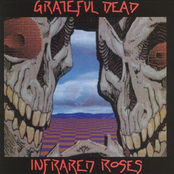 Riverside Rhapsody by Grateful Dead