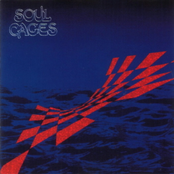Soul Cages by Soul Cages