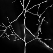 Б-г дал, Б-г взял EP