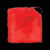 last chance to see [Explicit]