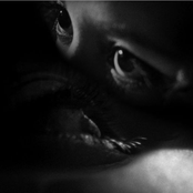 Temptress: Turning into You