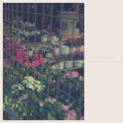 Continuous Sighs In The Age of Information