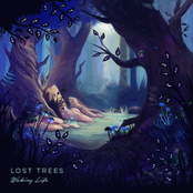 Lost Trees: Sonder Eyes