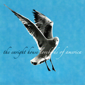 Cat and Bird Split 7"