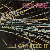 I Can Feel It (12 Inc)