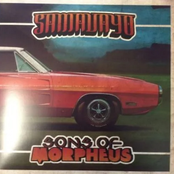 The Fuzz Charger Split