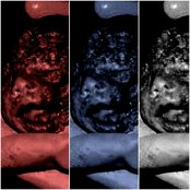 Only a Mother's Love...