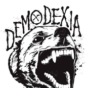 Demodexia