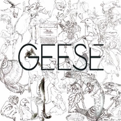 Spool by Geese