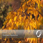 Golden Autumn