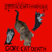 GORE CAT DEATH