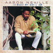 Sweet Amelia by Aaron Neville