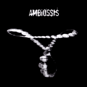 Ambiossis