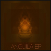 Anguila