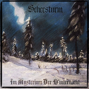 Im Mysterium Der Winternacht