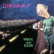 Hide by Dinosaur Jr.