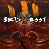 Rise by 3rd Root
