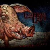Some Like To Bleed by Last House On The Left