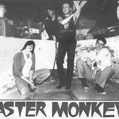 easter monkeys