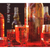 Polish Spirit (Nigel Kennedy; Polish Chamber Orchestra, Jacek Kaspszyk)