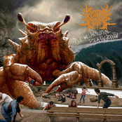 Trve MisanTropical DeathGrind