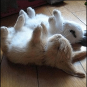 its not what it seems