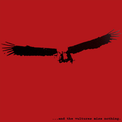 ...And The Vultures Miss Nothing.