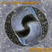 Marasmius