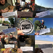 Live Life Like a Tourist