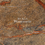 Wasserstein