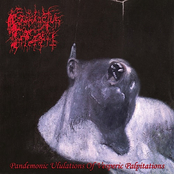 Priory Darkness Of Choral Flesh by Prosanctus Inferi