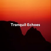 Tranquil Echoes: Ambient Sounds for Meditation and Relaxation