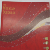 The Mountain Bluebirds