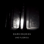 Night Falls by The Florist