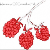 Hammocks Of Caterpillar Milk