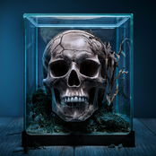 Fit For Treason: Hypoxia