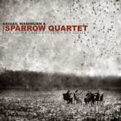 Abigail Washburn & The Sparrow Quartet