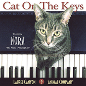 Cat On The Keys