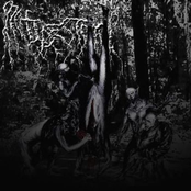 Seraphic Abhorrence by Orchidectomy