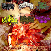 Spermatographic Hallucinations (6 Ways Split)