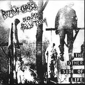 The Other Side of Life (split)