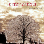 Whatever Gets You Through by Peter Cetera