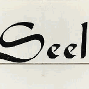 sincere letter / rain fall