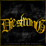 Slaughtered My Way Through