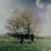fialová - EP