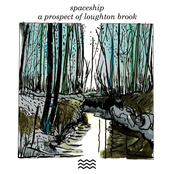 a prospect of loughton brook