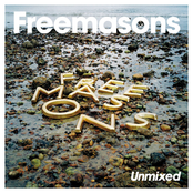 Uninvited by Freemasons Feat. Bailey Tzuke