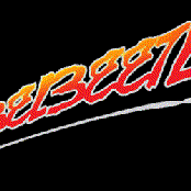 abelbeetle