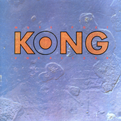 Hok by Kong