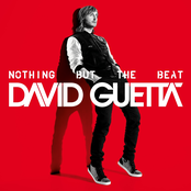 David Guetta: Nothing But The Beat